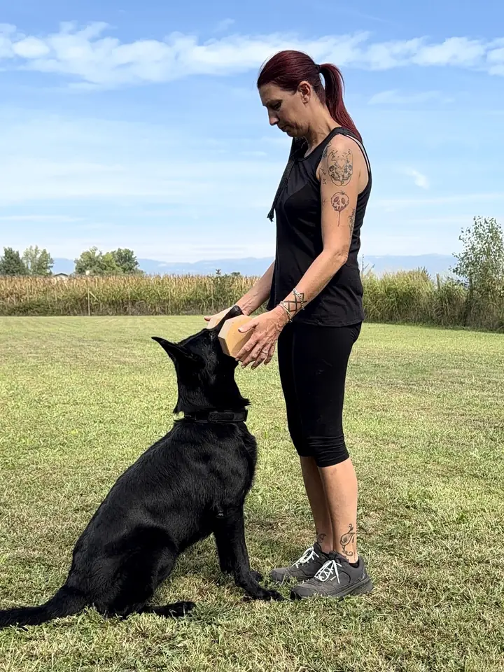 Laura in campo con Kalì, pastore tedesco nero seduto davanti a lei, mentre le mostra il bersaglio di legno