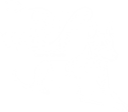 Iron Wolf ASD