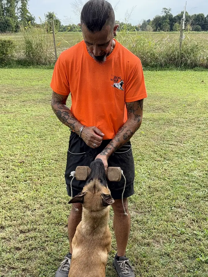 Luca in campo, chinato verso il suo malinois che gli porta il riporto di legno